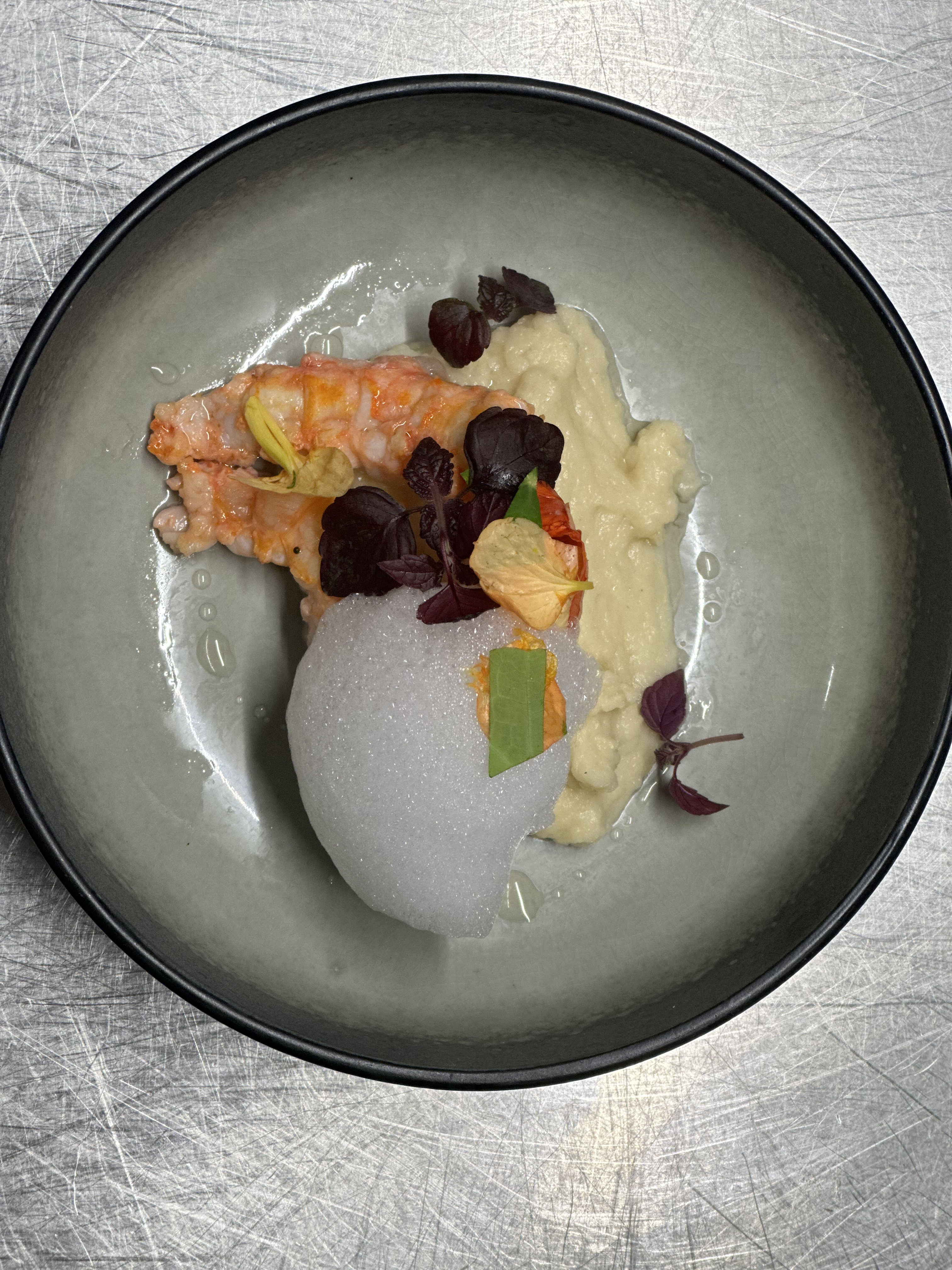 Mousseline de cèleri, langoustine snackée et émulsion chocolat blanc, shizo cress