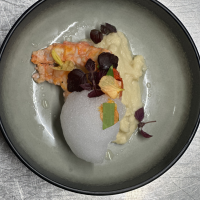 Mousseline de cèleri, langoustine snackée et émulsion chocolat blanc, shizo cress